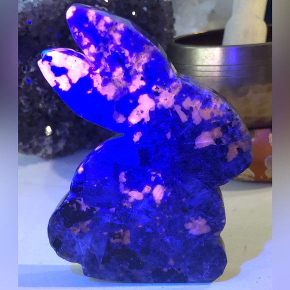 Yooperlite Bunny - Picture 3 of 4